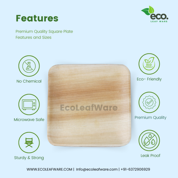 Areca Palm Leaf Square Plates - Image 3