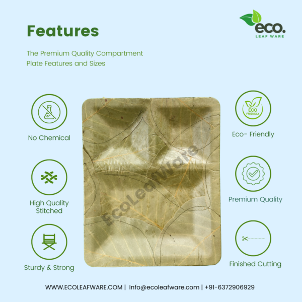 Sal Leaves Compartment Plate - Image 3
