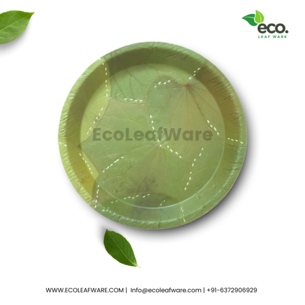 Sal Fresh Green Leaf Plates and Bowls - Image 3